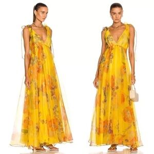 STAUD Dandelion Floral Organza Maxi Dress